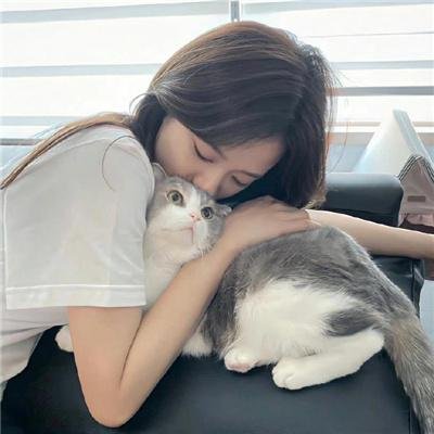 李卫当官3