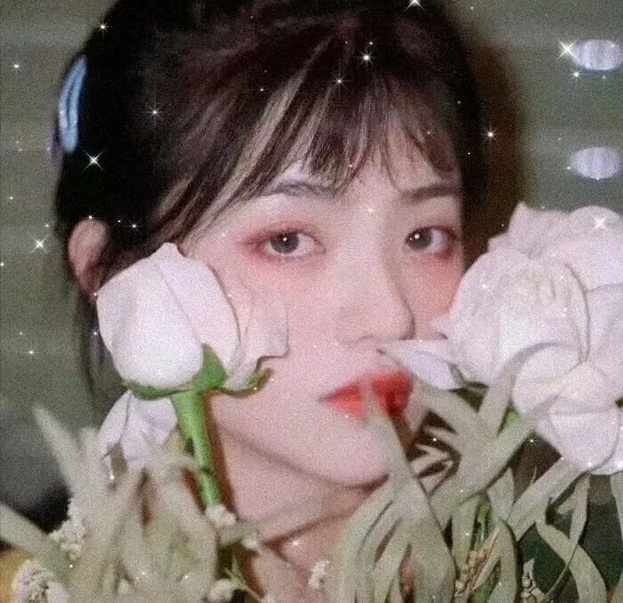 吧女生涯原是梦