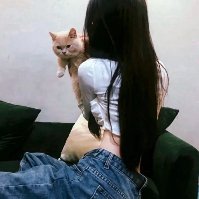 完美的谋杀
